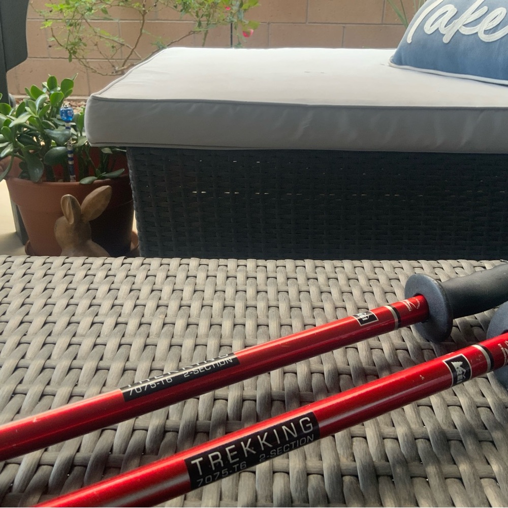 REI Youth Trekking Poles